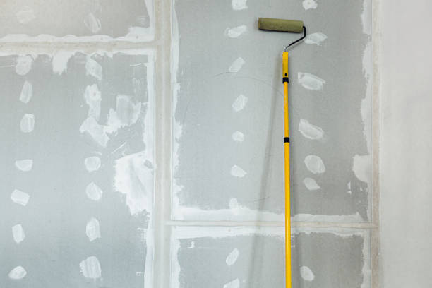 Best Drywall Sanding and Smoothing  in Lamoni, IA