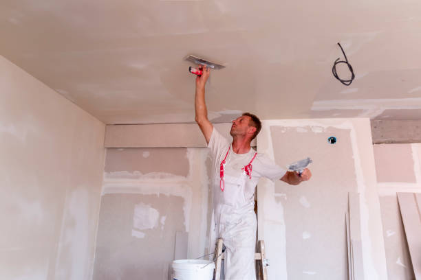 Best Drywall Installation  in Lamoni, IA