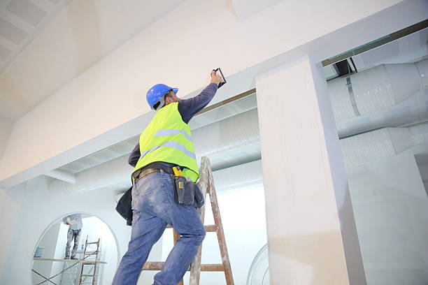 Best Commercial Painting  in Lamoni, IA